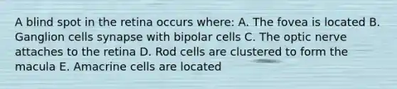 A blind spot in the retina occurs where: A. The fovea is located B. Ganglion cells synapse with bipolar cells C. The optic nerve attaches to the retina D. Rod cells are clustered to form the macula E. Amacrine cells are located