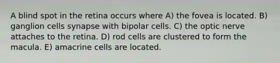 A blind spot in the retina occurs where A) the fovea is located. B) ganglion cells synapse with bipolar cells. C) the optic nerve attaches to the retina. D) rod cells are clustered to form the macula. E) amacrine cells are located.