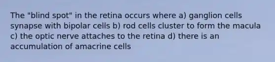 The "blind spot" in the retina occurs where a) ganglion cells synapse with bipolar cells b) rod cells cluster to form the macula c) the optic nerve attaches to the retina d) there is an accumulation of amacrine cells