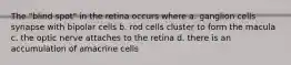 The "blind spot" in the retina occurs where a. ganglion cells synapse with bipolar cells b. rod cells cluster to form the macula c. the optic nerve attaches to the retina d. there is an accumulation of amacrine cells