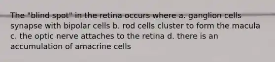 The "blind spot" in the retina occurs where a. ganglion cells synapse with bipolar cells b. rod cells cluster to form the macula c. the optic nerve attaches to the retina d. there is an accumulation of amacrine cells