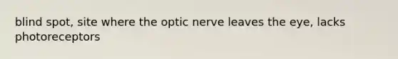 blind spot, site where the optic nerve leaves the eye, lacks photoreceptors