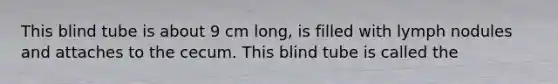 This blind tube is about 9 cm long, is filled with lymph nodules and attaches to the cecum. This blind tube is called the