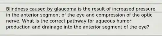 Blindness caused by glaucoma is the result of increased pressure in the anterior segment of the eye and compression of the optic nerve. What is the correct pathway for aqueous humor production and drainage into the anterior segment of the eye?