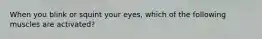 When you blink or squint your eyes, which of the following muscles are activated?