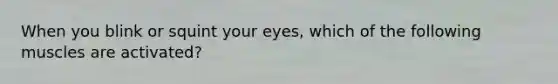 When you blink or squint your eyes, which of the following muscles are activated?