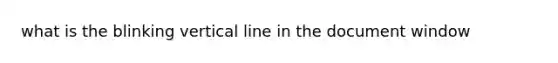 what is the blinking vertical line in the document window