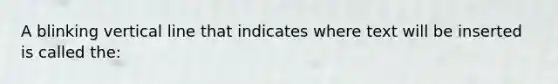 A blinking vertical line that indicates where text will be inserted is called the: