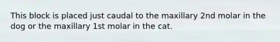 This block is placed just caudal to the maxillary 2nd molar in the dog or the maxillary 1st molar in the cat.