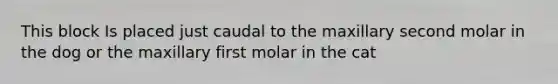 This block Is placed just caudal to the maxillary second molar in the dog or the maxillary first molar in the cat