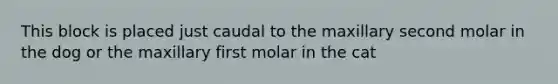 This block is placed just caudal to the maxillary second molar in the dog or the maxillary first molar in the cat