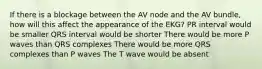 If there is a blockage between the AV node and the AV bundle, how will this affect the appearance of the EKG? PR interval would be smaller QRS interval would be shorter There would be more P waves than QRS complexes There would be more QRS complexes than P waves The T wave would be absent