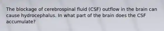 The blockage of cerebrospinal fluid (CSF) outflow in the brain can cause hydrocephalus. In what part of the brain does the CSF accumulate?