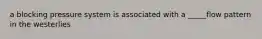 a blocking pressure system is associated with a _____flow pattern in the westerlies