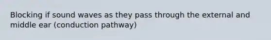 Blocking if sound waves as they pass through the external and middle ear (conduction pathway)