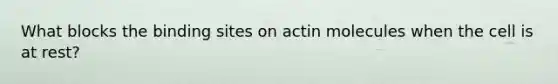 What blocks the binding sites on actin molecules when the cell is at rest?