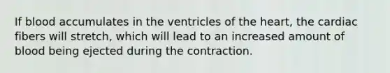 If blood accumulates in the ventricles of the heart, the cardiac fibers will stretch, which will lead to an increased amount of blood being ejected during the contraction.