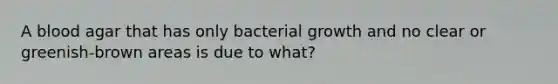 A blood agar that has only bacterial growth and no clear or greenish-brown areas is due to what?