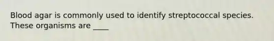 Blood agar is commonly used to identify streptococcal species. These organisms are ____