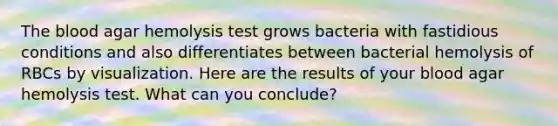 The blood agar hemolysis test grows bacteria with fastidious conditions and also differentiates between bacterial hemolysis of RBCs by visualization. Here are the results of your blood agar hemolysis test. What can you conclude?