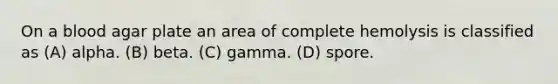 On a blood agar plate an area of complete hemolysis is classified as (A) alpha. (B) beta. (C) gamma. (D) spore.