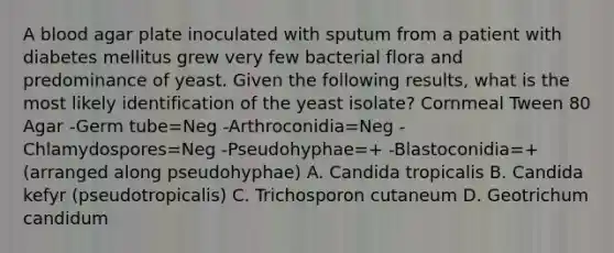 A blood agar plate inoculated with sputum from a patient with diabetes mellitus grew very few bacterial flora and predominance of yeast. Given the following results, what is the most likely identification of the yeast isolate? Cornmeal Tween 80 Agar -Germ tube=Neg -Arthroconidia=Neg -Chlamydospores=Neg -Pseudohyphae=+ -Blastoconidia=+ (arranged along pseudohyphae) A. Candida tropicalis B. Candida kefyr (pseudotropicalis) C. Trichosporon cutaneum D. Geotrichum candidum