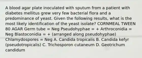 A blood agar plate inoculated with sputum from a patient with diabetes mellitus grew very few bacterial flora and a predominance of yeast. Given the following results, what is the most likely identification of the yeast isolate? CORNMEAL TWEEN 80 AGAR Germ tube = Neg Pseudohyphae = + Arthroconidia = Neg Blastoconidia = + (arranged along pseudohyphae) Chlamydospores = Neg A. Candida tropicalis B. Candida kefyr (pseudotropicalis) C. Trichosporon cutaneum D. Geotrichum candidum