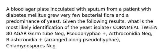 A blood agar plate inoculated with sputum from a patient with diabetes mellitus grew very few bacterial flora and a predominance of yeast. Given the following results, what is the most likely identification of the yeast isolate? CORNMEAL TWEEN 80 AGAR Germ tube Neg, Pseudohyphae +, Arthroconidia Neg, Blastoconidia + (arranged along pseudohyphae), Chlamydospores Neg