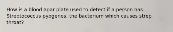 How is a blood agar plate used to detect if a person has Streptococcus pyogenes, the bacterium which causes strep throat?