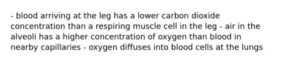 - blood arriving at the leg has a lower carbon dioxide concentration than a respiring muscle cell in the leg - air in the alveoli has a higher concentration of oxygen than blood in nearby capillaries - oxygen diffuses into blood cells at the lungs