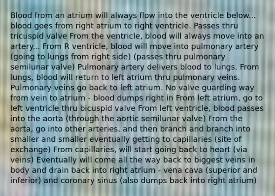 Blood from an atrium will always flow into the ventricle below... blood goes from right atrium to right ventricle. Passes thru tricuspid valve From the ventricle, blood will always move into an artery... From R ventricle, blood will move into pulmonary artery (going to lungs from right side) (passes thru pulmonary semilunar valve) Pulmonary artery delivers blood to lungs. From lungs, blood will return to left atrium thru pulmonary veins. Pulmonary veins go back to left atrium. No valve guarding way from vein to atrium - blood dumps right in From left atrium, go to left ventricle thru bicuspid valve From left ventricle, blood passes into the aorta (through the aortic semilunar valve) From the aorta, go into other arteries, and then branch and branch into smaller and smaller eventually getting to capillaries (site of exchange) From capillaries, will start going back to heart (via veins) Eventually will come all the way back to biggest veins in body and drain back into right atrium - vena cava (superior and inferior) and coronary sinus (also dumps back into right atrium)