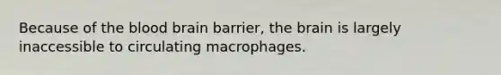 Because of the blood brain barrier, the brain is largely inaccessible to circulating macrophages.