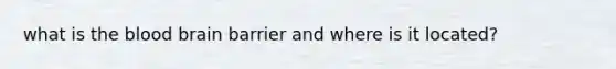 what is the blood brain barrier and where is it located?