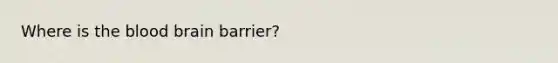 Where is the blood brain barrier?