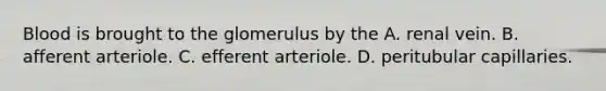 Blood is brought to the glomerulus by the A. renal vein. B. afferent arteriole. C. efferent arteriole. D. peritubular capillaries.