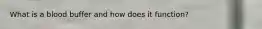 What is a blood buffer and how does it function?