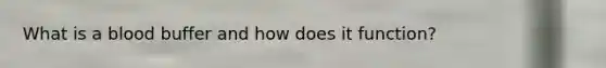 What is a blood buffer and how does it function?
