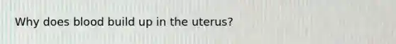 Why does blood build up in the uterus?