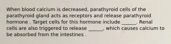 When blood calcium is decreased, parathyroid cells of the parathyroid gland acts as receptors and release parathyroid hormone . Target cells for this hormone include ______. Renal cells are also triggered to release ______, which causes calcium to be absorbed from the intestines .