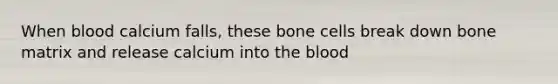 When blood calcium falls, these bone cells break down bone matrix and release calcium into the blood