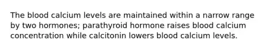 The blood calcium levels are maintained within a narrow range by two hormones; parathyroid hormone raises blood calcium concentration while calcitonin lowers blood calcium levels.