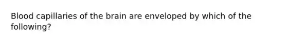 Blood capillaries of the brain are enveloped by which of the following?