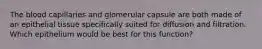 The blood capillaries and glomerular capsule are both made of an epithelial tissue specifically suited for diffusion and filtration. Which epithelium would be best for this function?