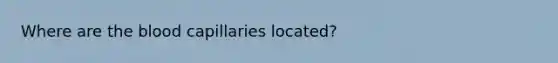 Where are the blood capillaries located?