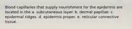 Blood capillaries that supply nourishment for the epidermis are located in the a. subcutaneous layer. b. dermal papillae. c. epidermal ridges. d. epidermis proper. e. reticular connective tissue.