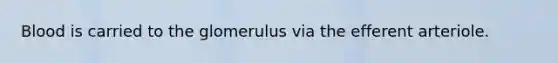 Blood is carried to the glomerulus via the efferent arteriole.
