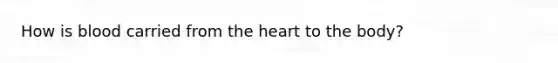 How is blood carried from the heart to the body?