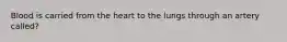 Blood is carried from the heart to the lungs through an artery called?