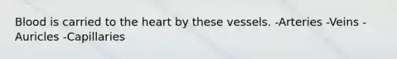 Blood is carried to the heart by these vessels. -Arteries -Veins -Auricles -Capillaries