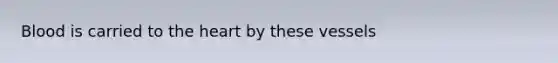 Blood is carried to <a href='https://www.questionai.com/knowledge/kya8ocqc6o-the-heart' class='anchor-knowledge'>the heart</a> by these vessels